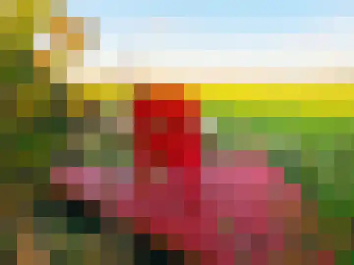 Kapelleweg 29 Scharendijke thumbnail 93