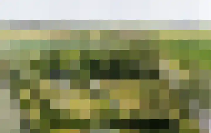 Kapelleweg 29 Scharendijke thumbnail 94