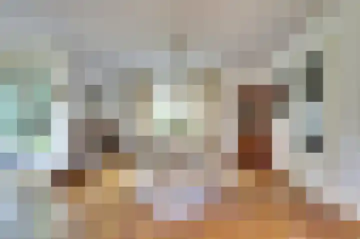 Kapelleweg 6 b Scharendijke thumbnail 11