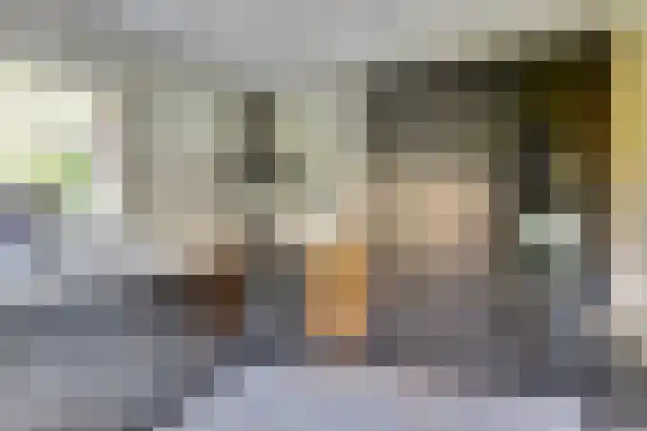 Kapelleweg 6 b Scharendijke thumbnail 19
