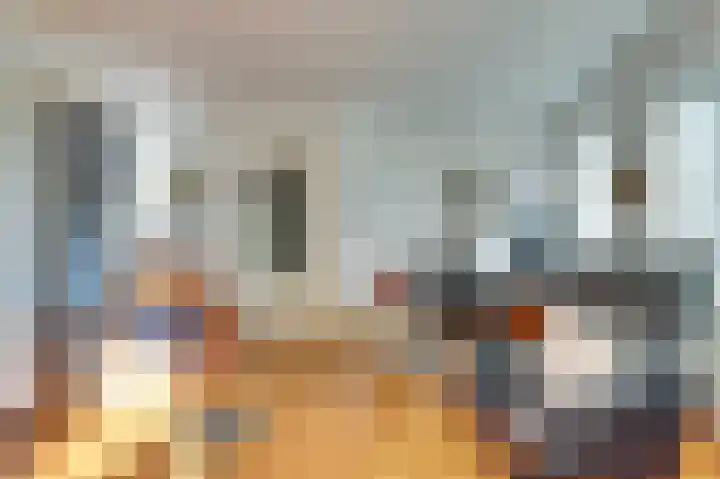 Kapelleweg 6 b Scharendijke thumbnail 21