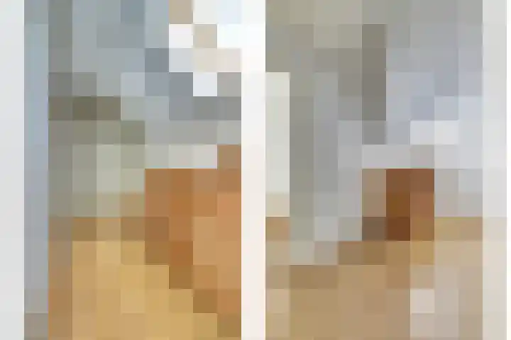Kapelleweg 6 b Scharendijke thumbnail 27