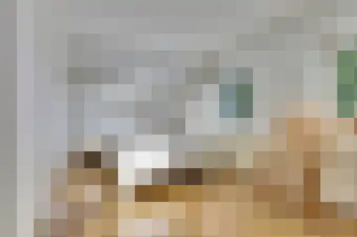Kapelleweg 6 b Scharendijke thumbnail 31