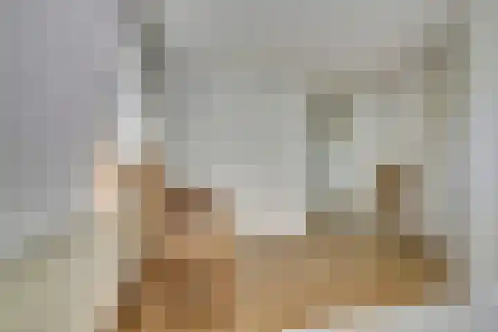 Kapelleweg 6 b Scharendijke thumbnail 32