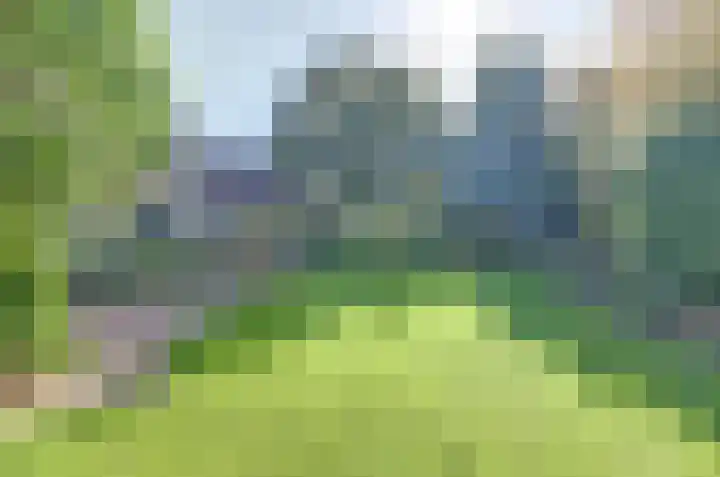 Kapelleweg 6 b Scharendijke thumbnail 37