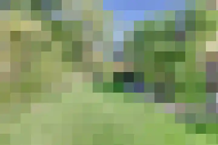Kapelleweg 6 b Scharendijke thumbnail 38