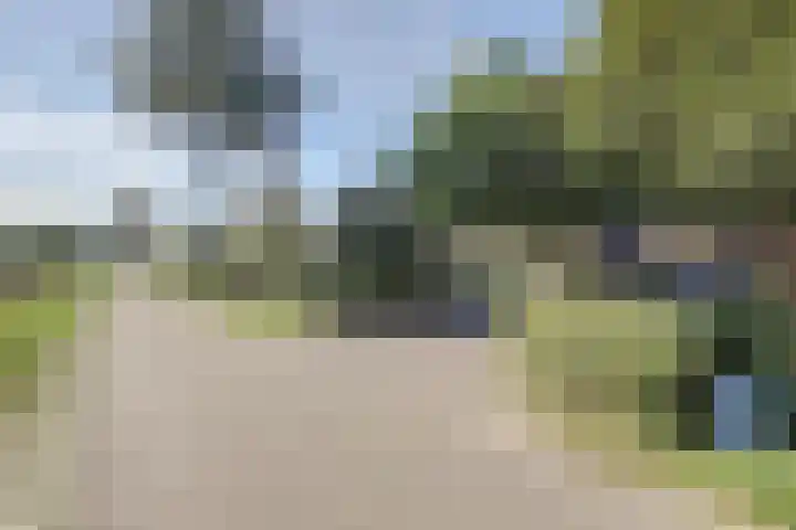 Kapelleweg 6 b Scharendijke thumbnail 4