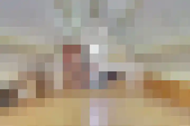 Kapelleweg 6 b Scharendijke thumbnail 44