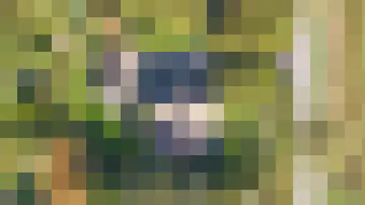 Kapelleweg 6 b Scharendijke thumbnail 48