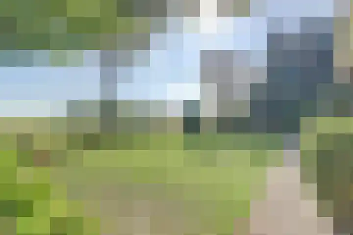 Kapelleweg 6 b Scharendijke thumbnail 5