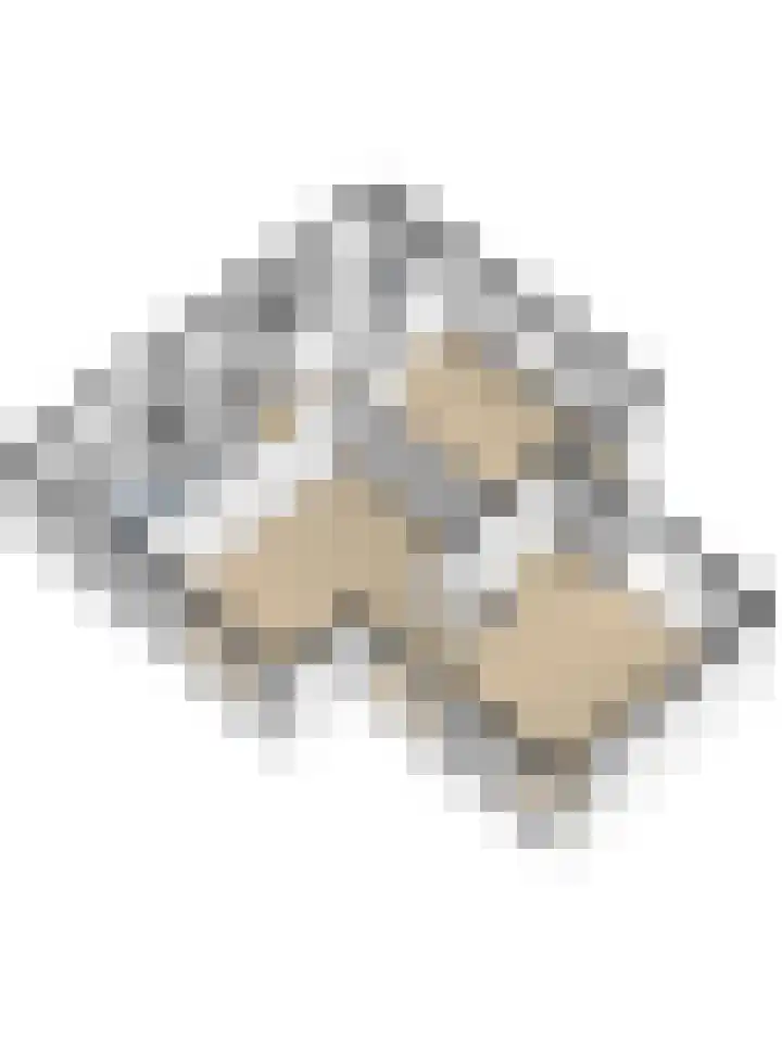Kapelleweg 6 b Scharendijke thumbnail 50