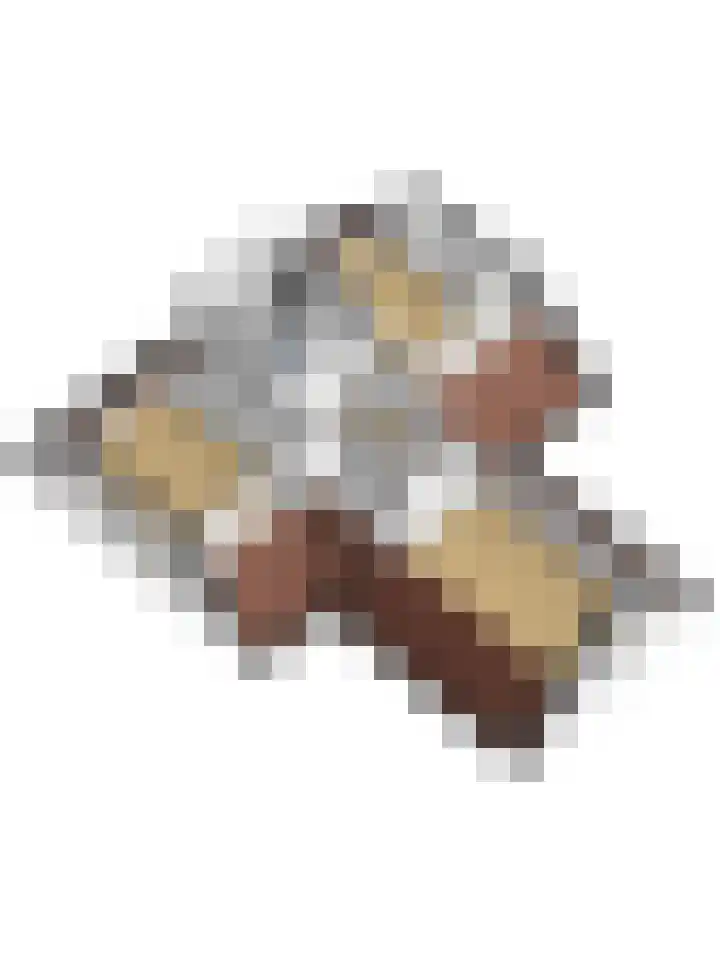 Kapelleweg 6 b Scharendijke thumbnail 52