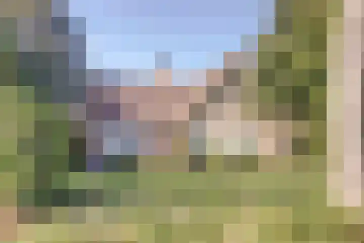 Kapelleweg 6 b Scharendijke thumbnail 6