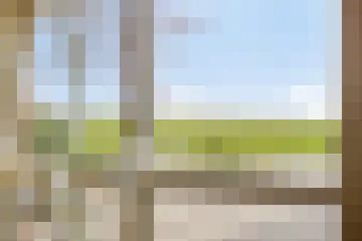 Kapelleweg 6 c Scharendijke thumbnail 16