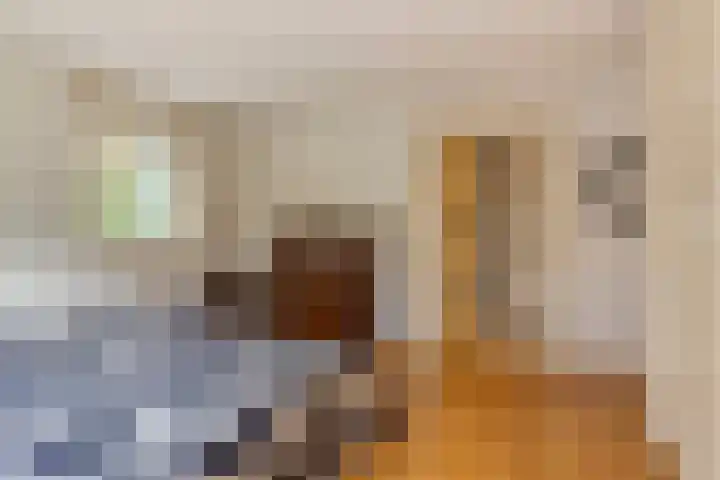 Kapelleweg 6 c Scharendijke thumbnail 18