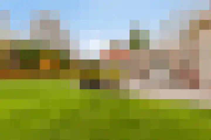 Kapelleweg 6 c Scharendijke thumbnail 32