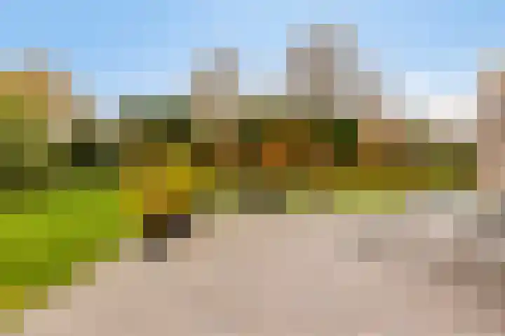 Kapelleweg 6 c Scharendijke thumbnail 34