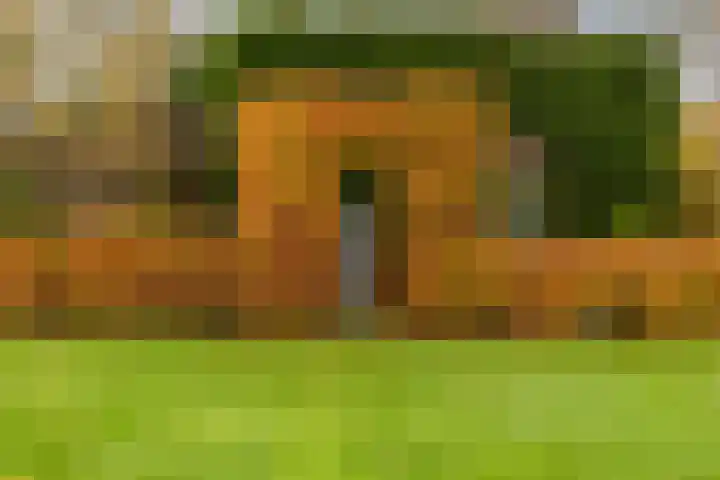 Kapelleweg 6 c Scharendijke thumbnail 35
