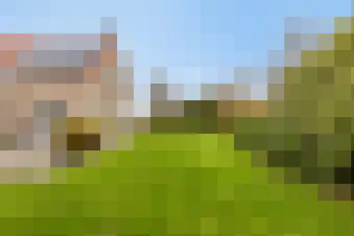 Kapelleweg 6 c Scharendijke thumbnail 36