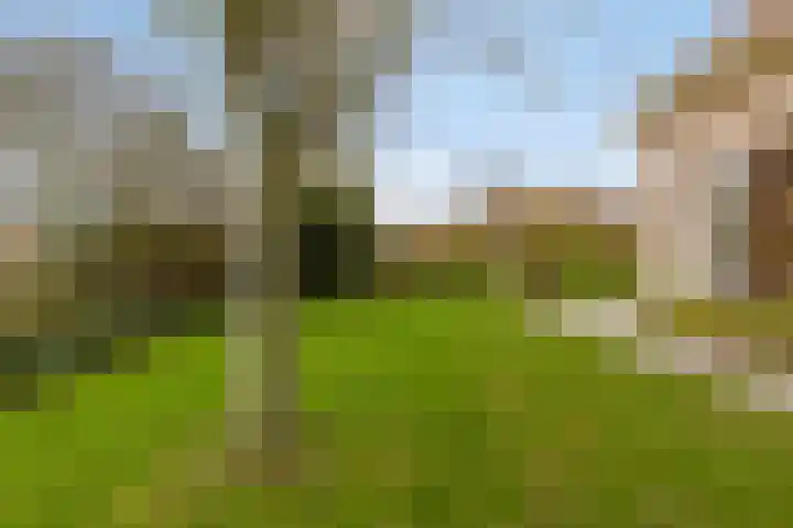 Kapelleweg 6 c Scharendijke thumbnail 37