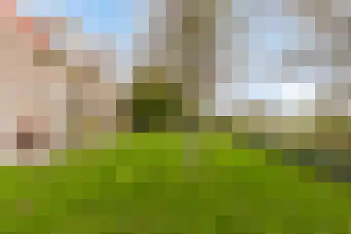Kapelleweg 6 c Scharendijke thumbnail 38