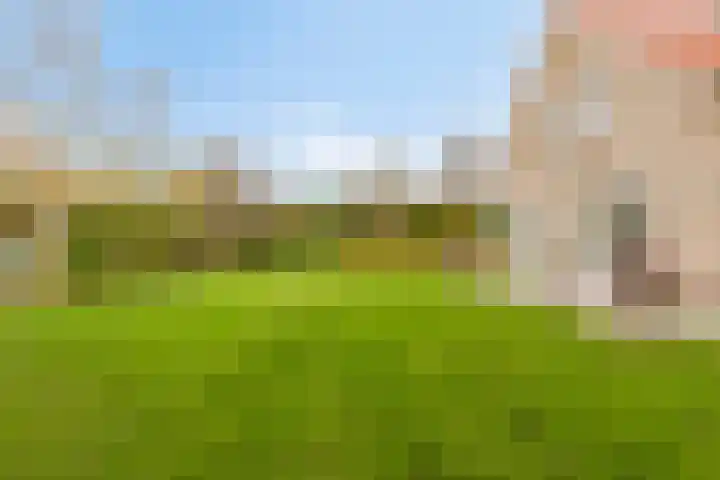Kapelleweg 6 c Scharendijke thumbnail 39
