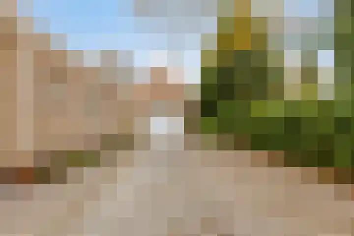 Kapelleweg 6 c Scharendijke thumbnail 40