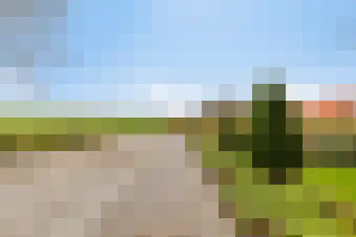 Kapelleweg 6 c Scharendijke thumbnail 41