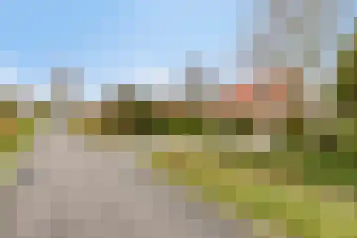 Kapelleweg 6 c Scharendijke thumbnail 42