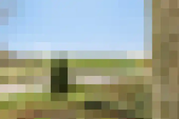 Kapelleweg 6 c Scharendijke thumbnail 6