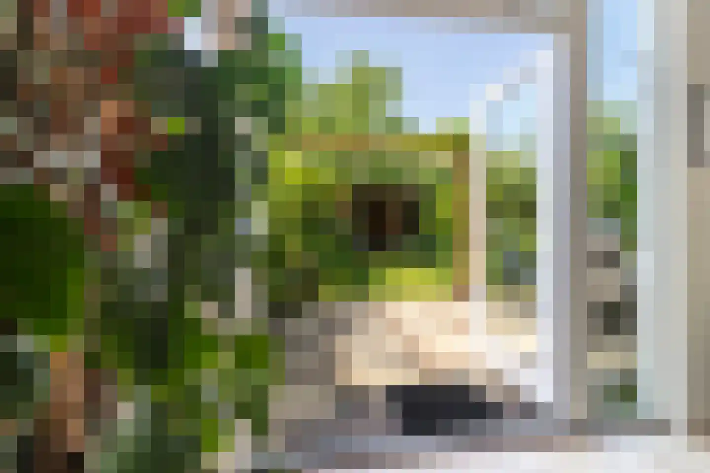 Kapelmeestershoeve 202 Apeldoorn thumbnail 12