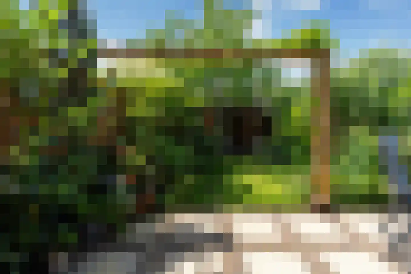 Kapelmeestershoeve 202 Apeldoorn thumbnail 13