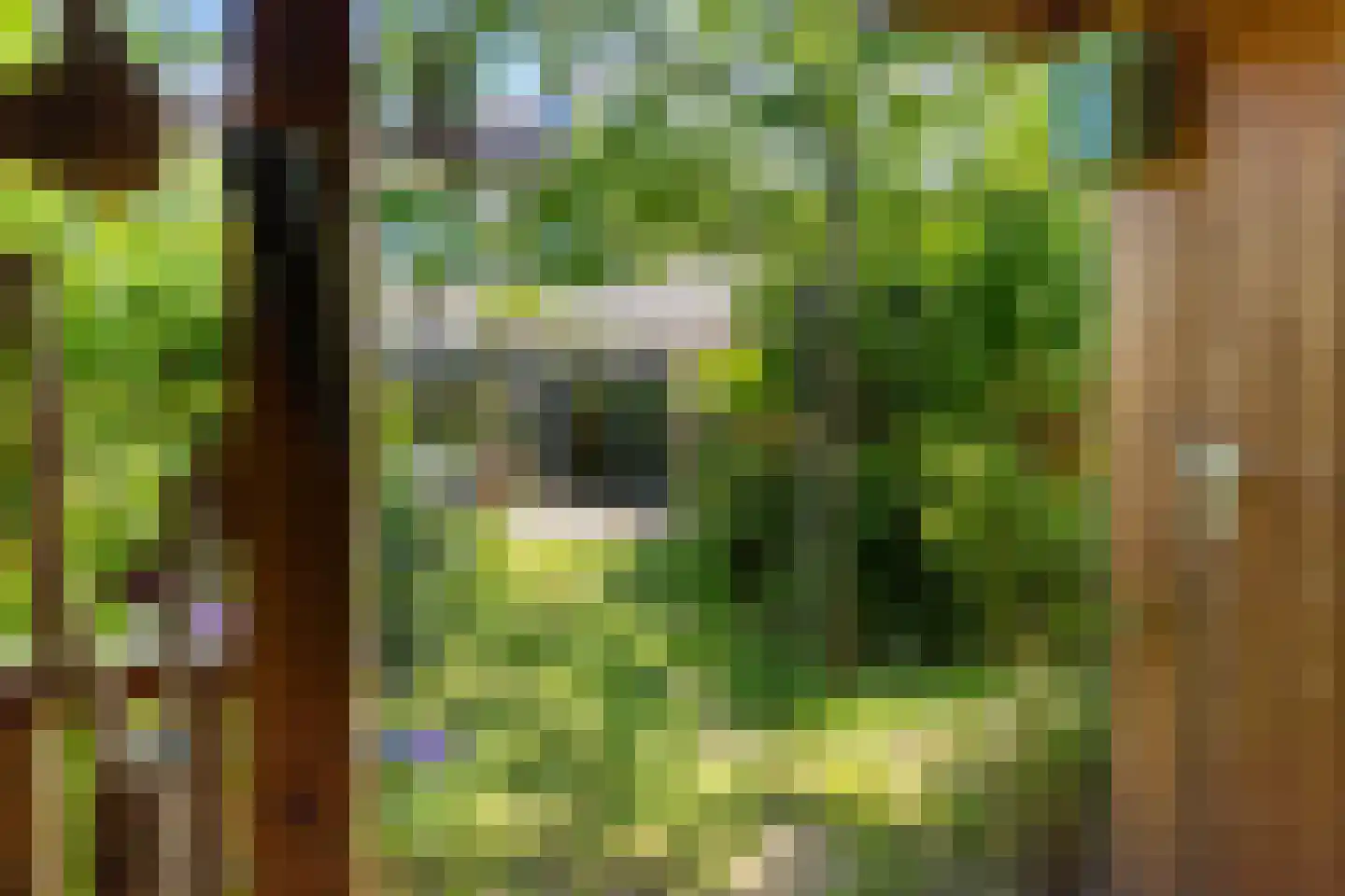 Kapelmeestershoeve 202 Apeldoorn thumbnail 14
