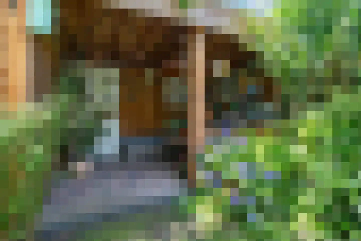 Kapelmeestershoeve 202 Apeldoorn thumbnail 15