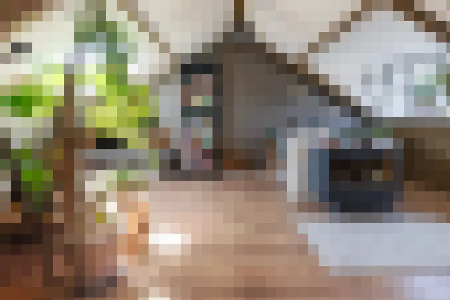Kapelmeestershoeve 202 Apeldoorn thumbnail 25
