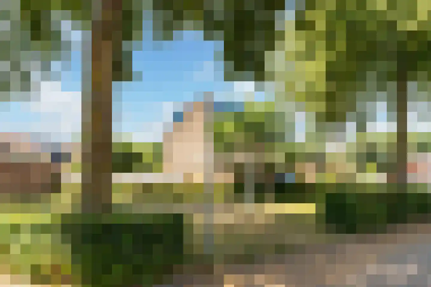 Kapelmeestershoeve 202 Apeldoorn thumbnail 30