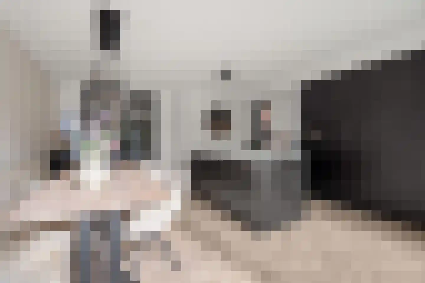 Kapelmuur 14 Houten thumbnail 12