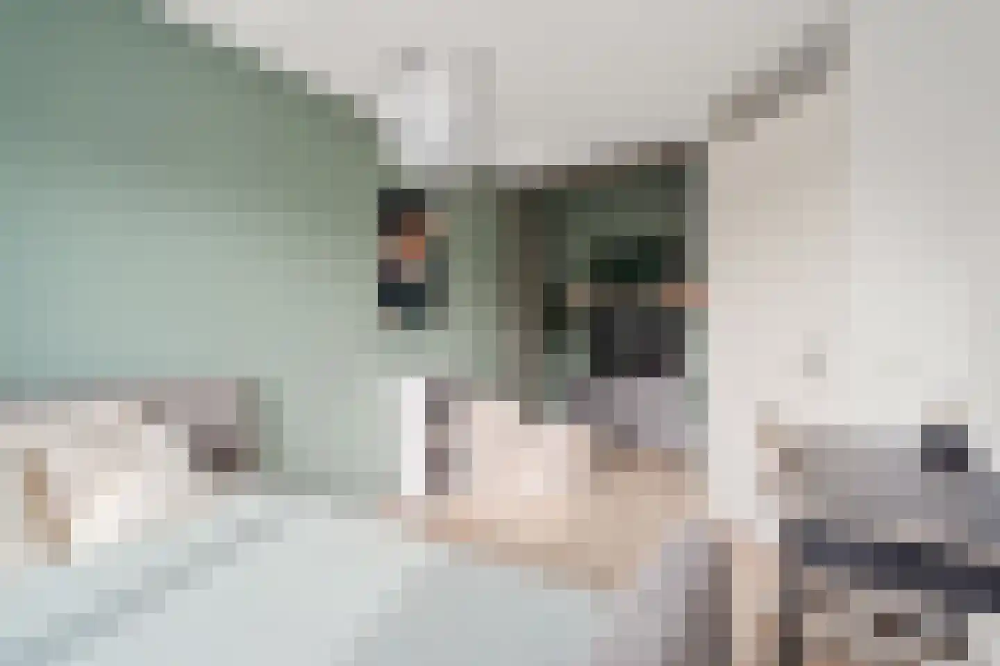 Kapelmuur 14 Houten thumbnail 31