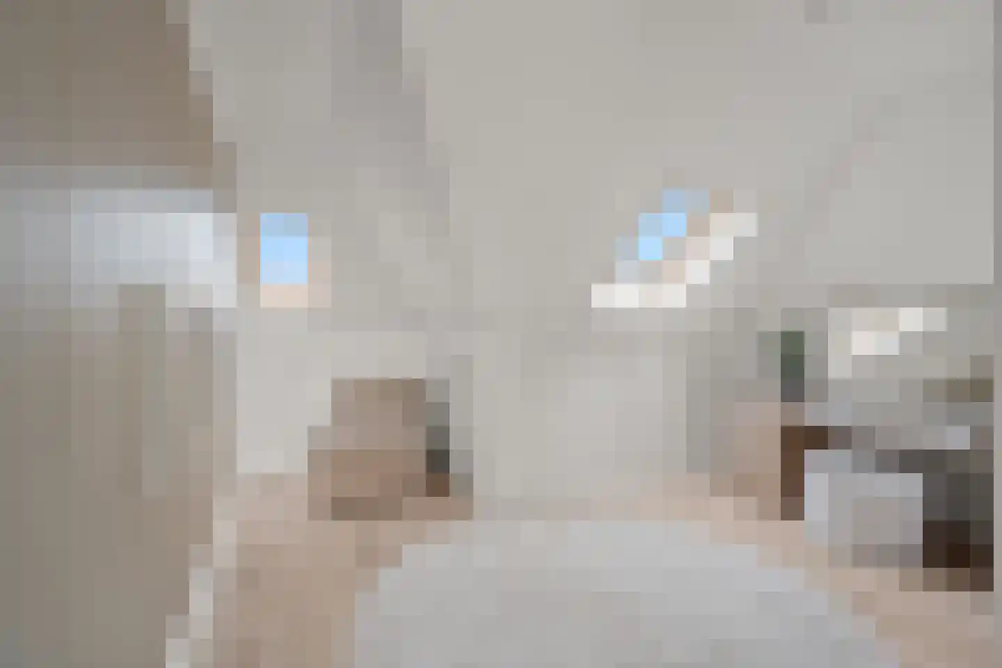 Kapelmuur 14 Houten thumbnail 43