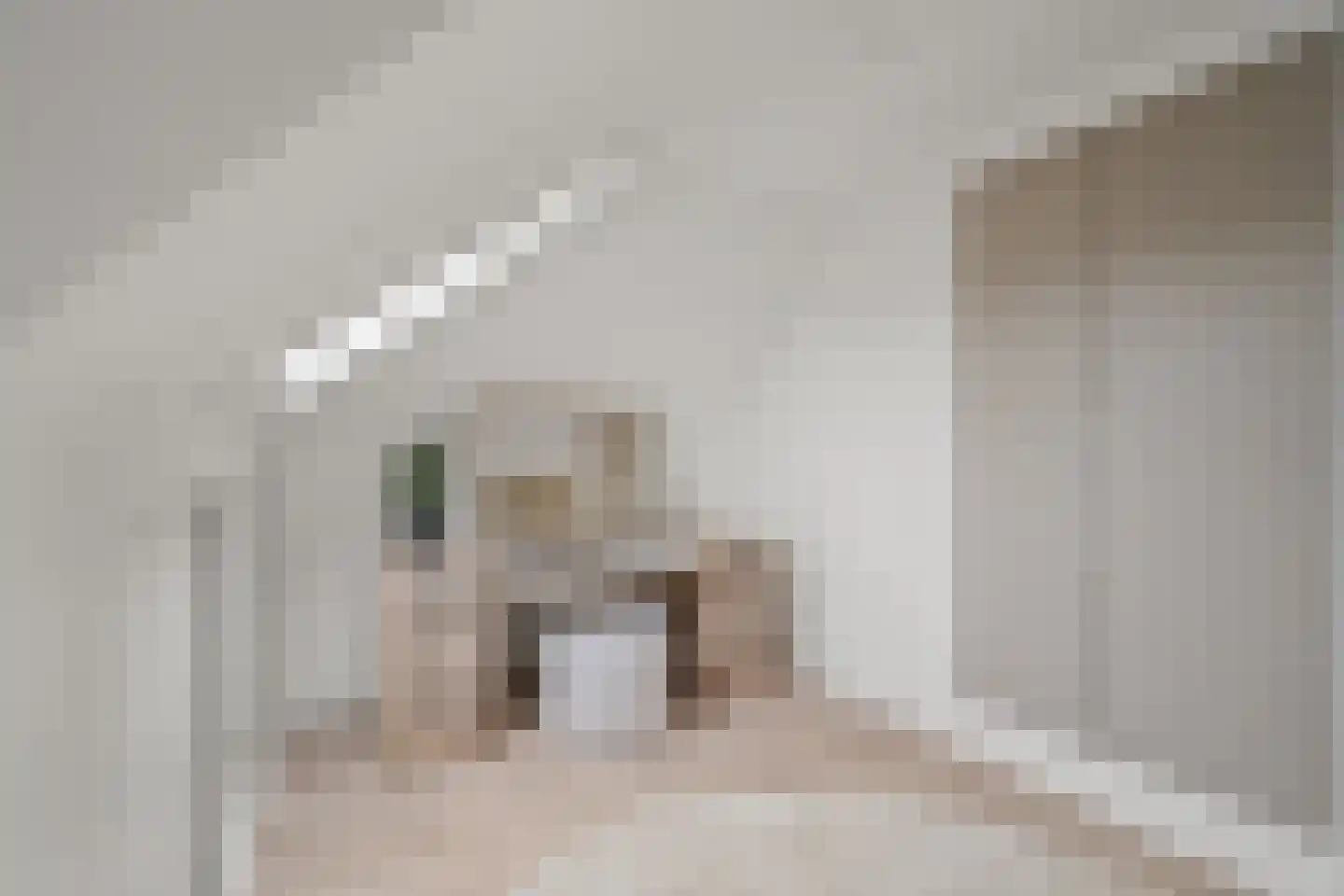 Kapelmuur 14 Houten thumbnail 44