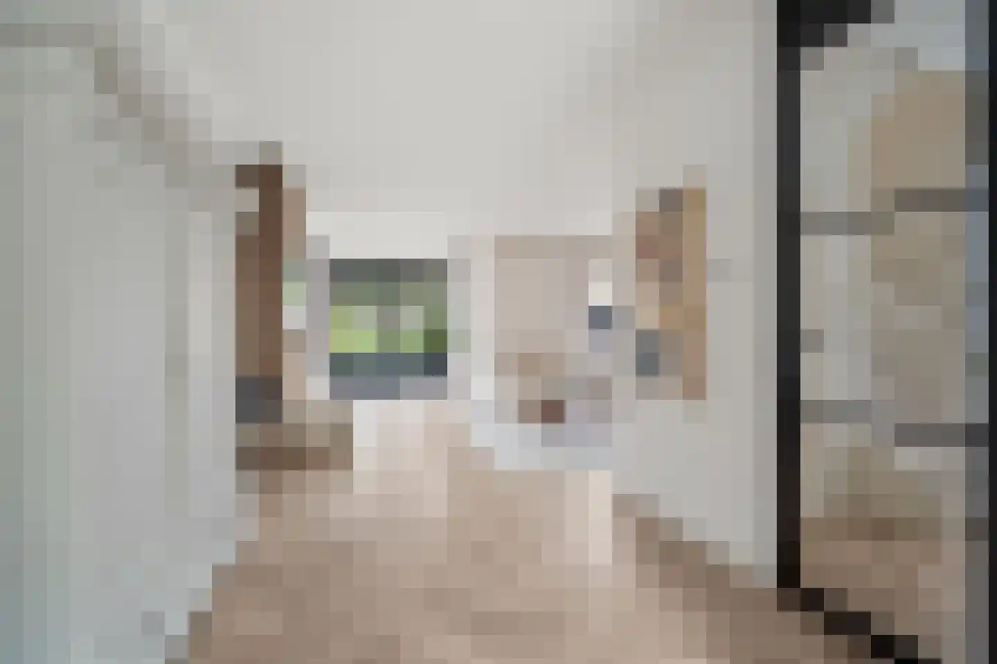 Kapelmuur 14 Houten thumbnail 5