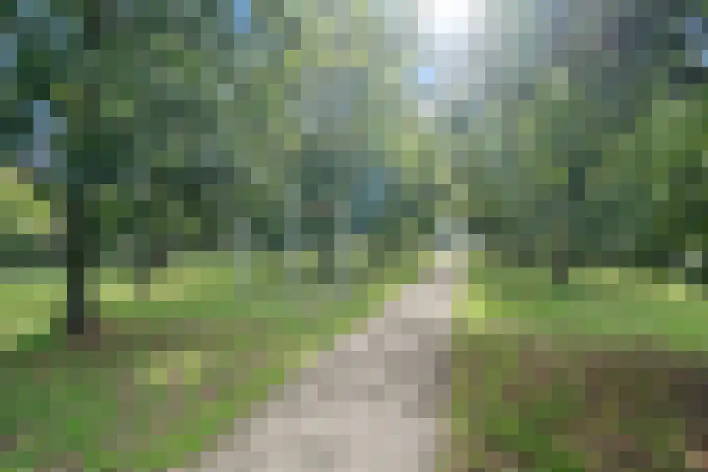 Kapelmuur 14 Houten thumbnail 54