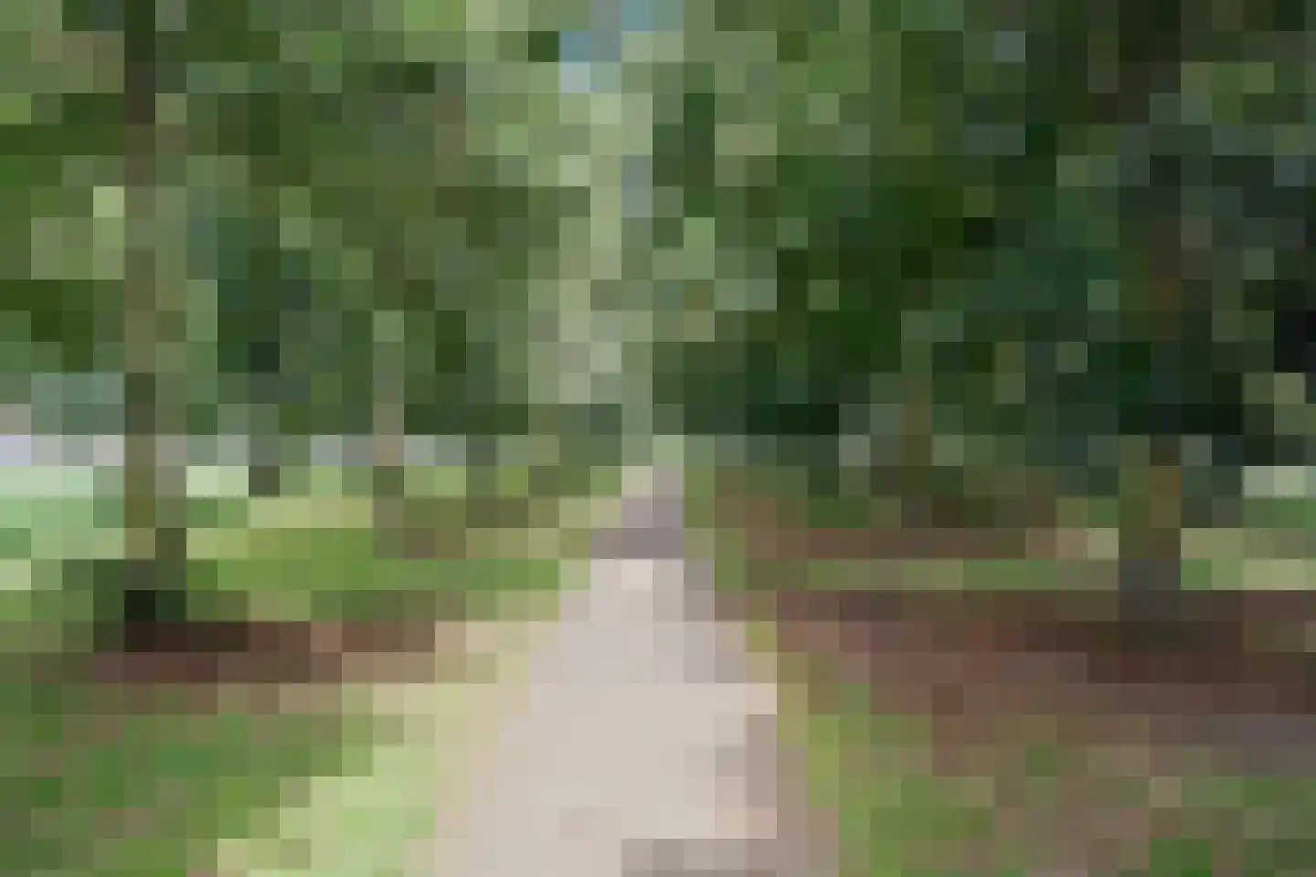 Kapelmuur 14 Houten thumbnail 55