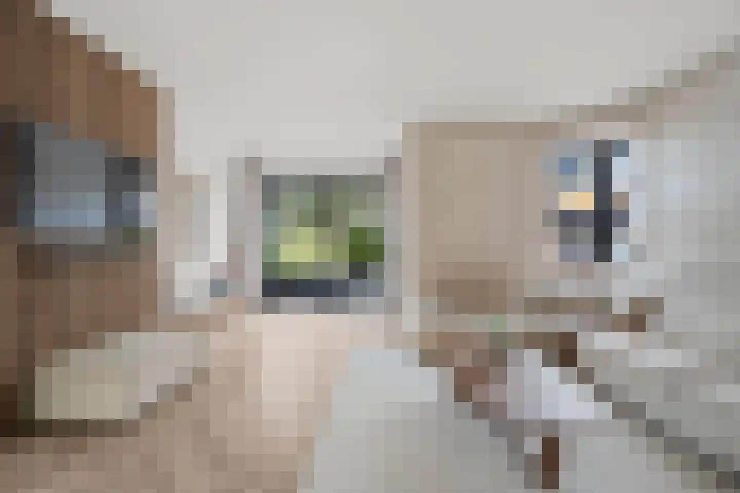 Kapelmuur 14 Houten thumbnail 6