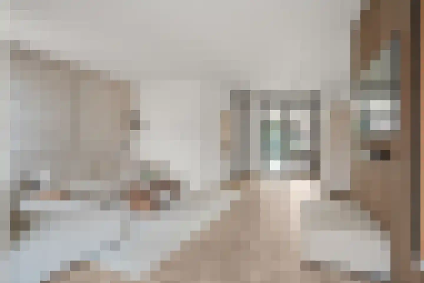 Kapelmuur 14 Houten thumbnail 9