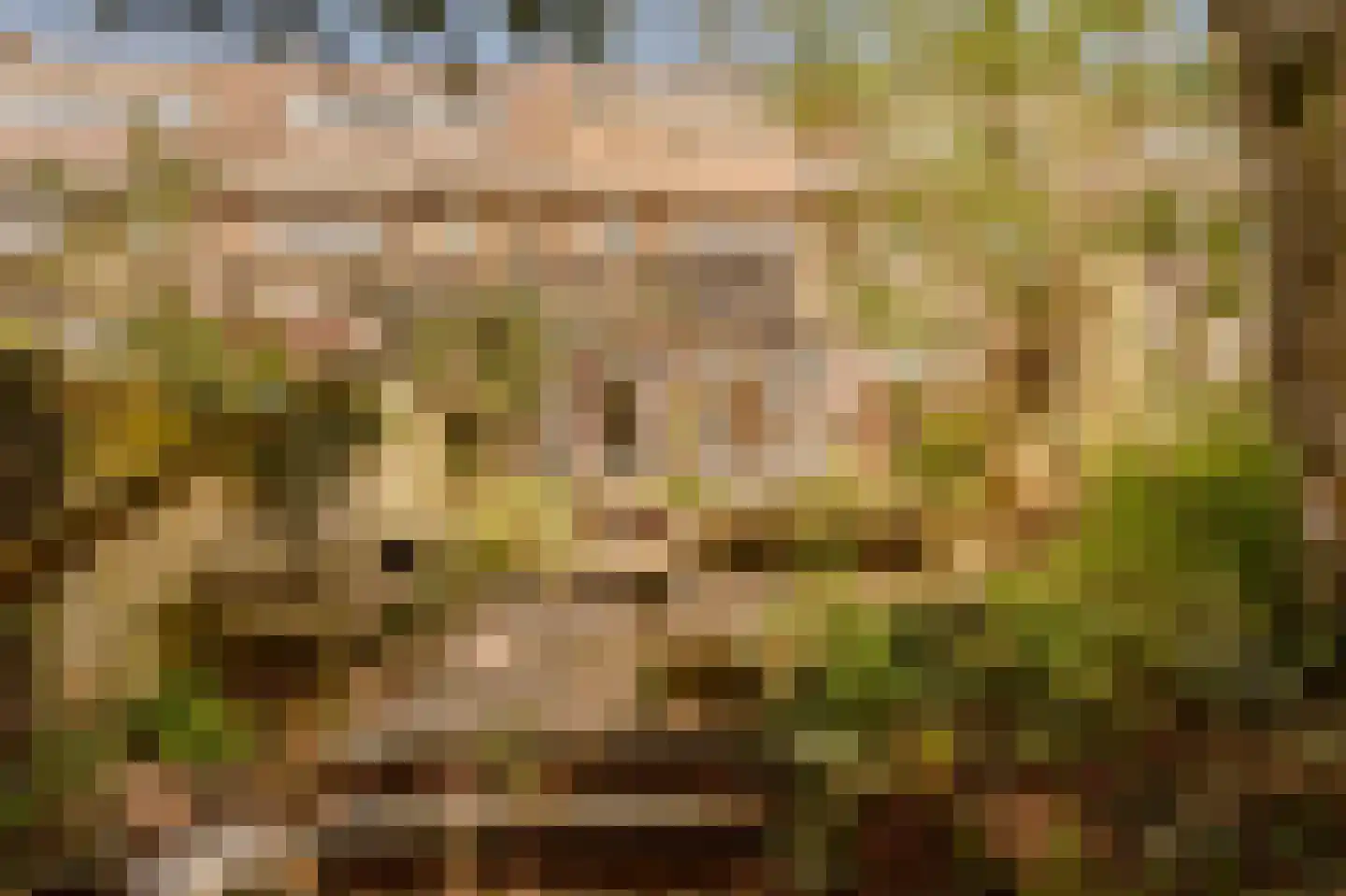 Kapelplein 3 Den Haag thumbnail 19