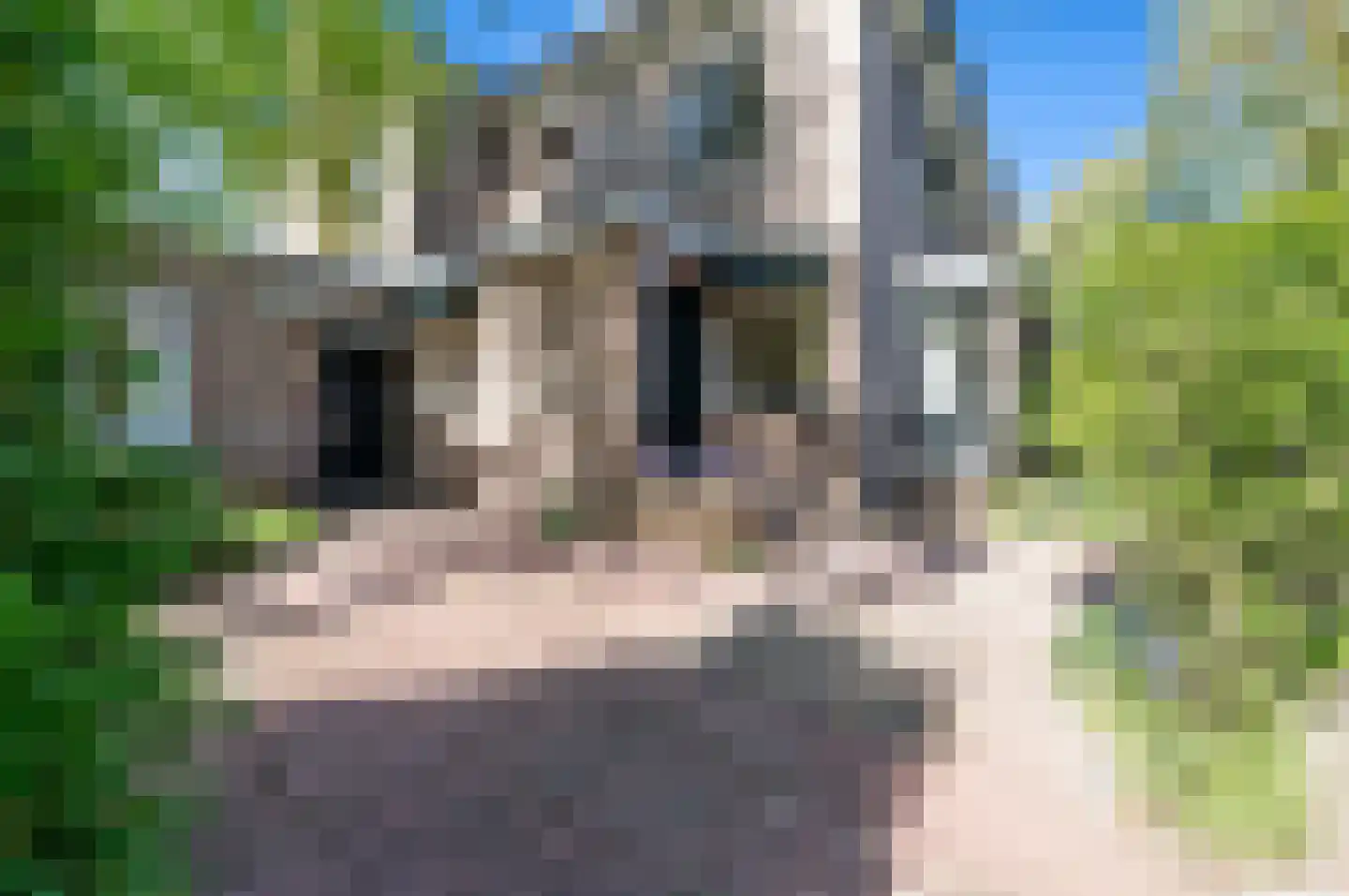 Kapelplein 9 Den Haag thumbnail 4