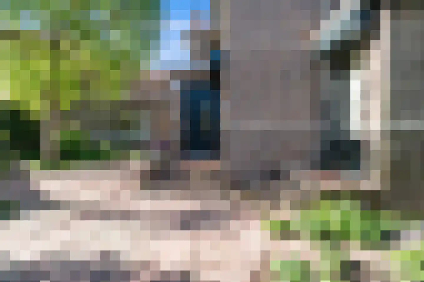 Kapelplein 9 Den Haag thumbnail 6