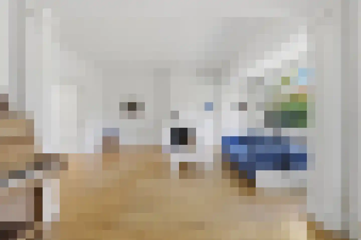 Kapelplein 9 Den Haag thumbnail 9