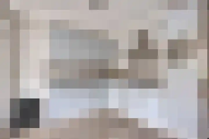 Kapelse Wiel 1 Lith thumbnail 13